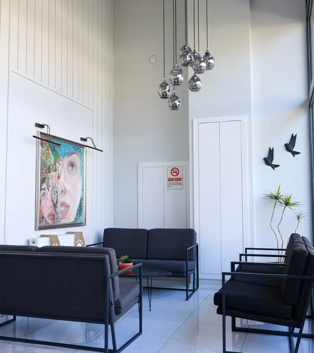 Sone Aile Danışmanlık Merkezi